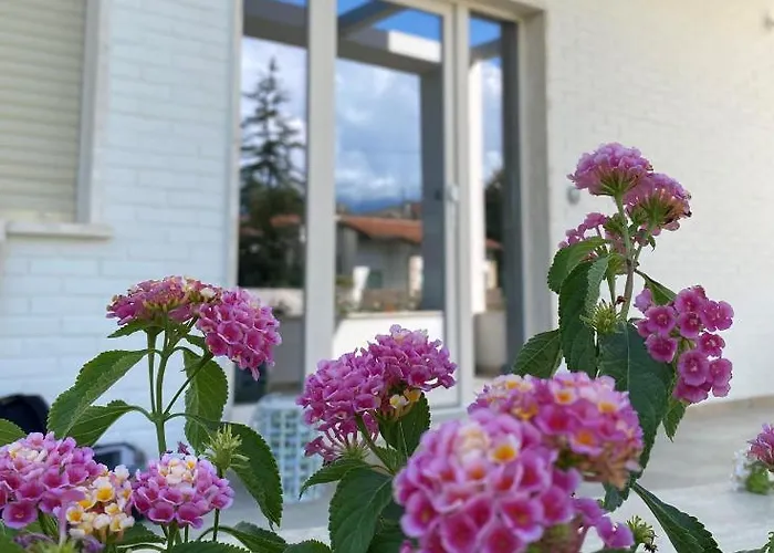 Villa D Erna Marina Di Pietrasanta