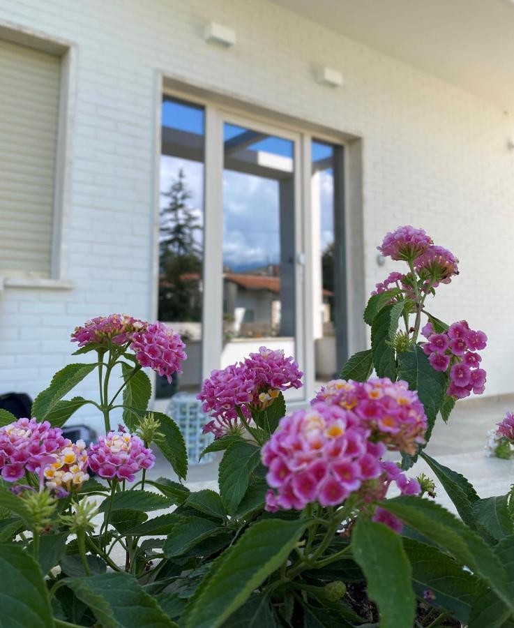 Bed & Breakfast D Erna Marina di Pietrasanta